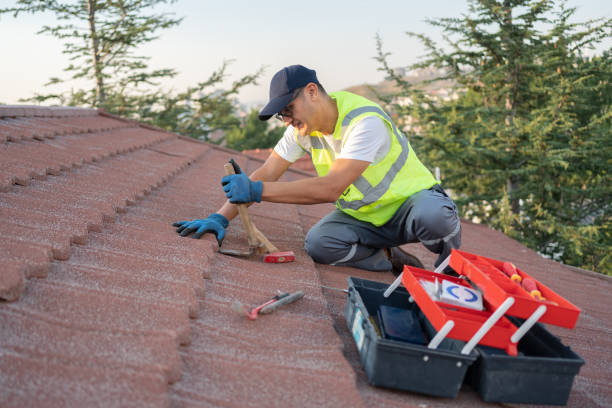 Best Roof Leak Repair  in Silverton, OH