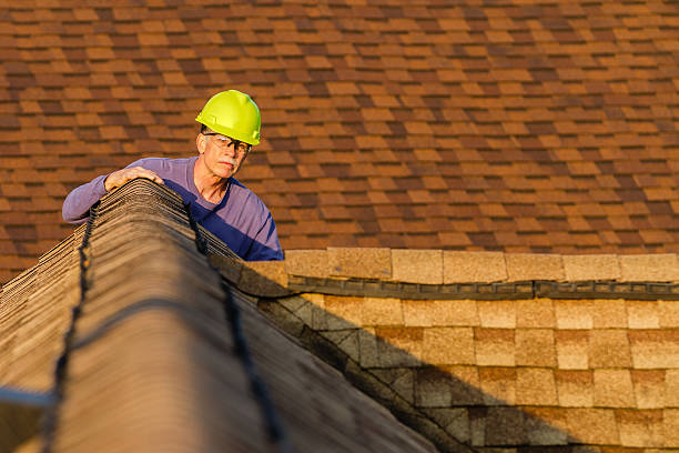 Best Roof Gutter Cleaning  in Silverton, OH